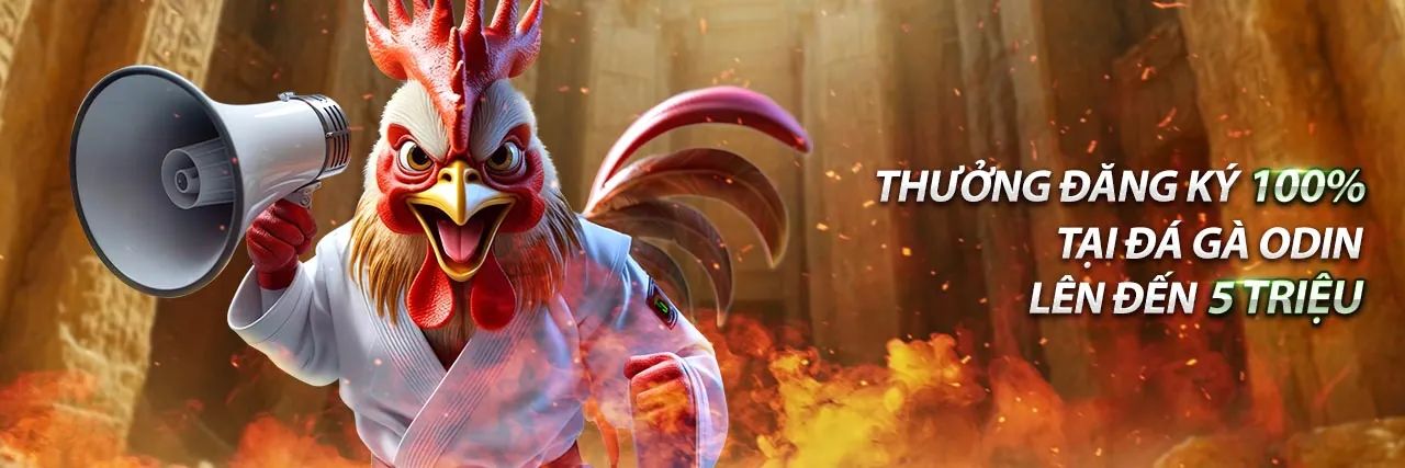 Khuyến Mãi và Ưu Đãi Độc Quyền